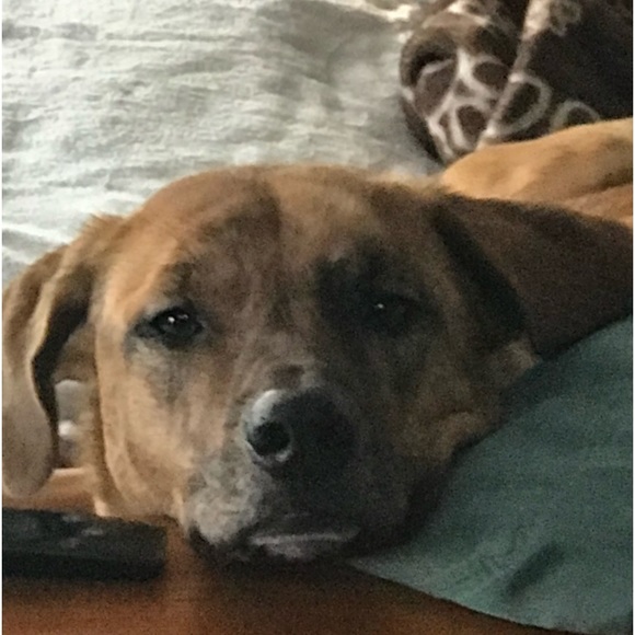 Meet your Posher, Wendy - Picture 2 of 5